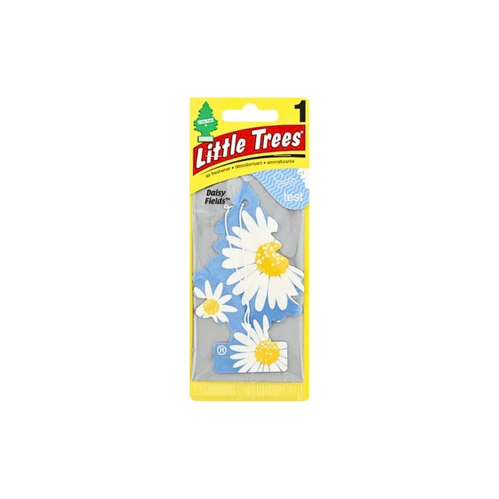 Little Tree Daisy Field carder on white background