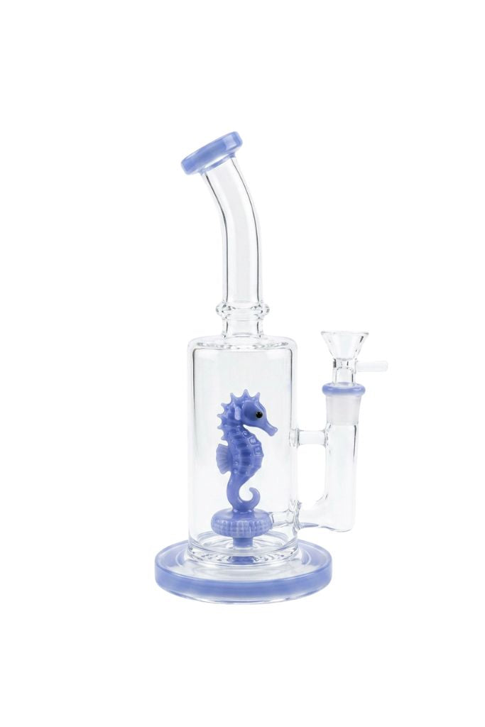 Clear glass water pipe with a seahorse design on a white background