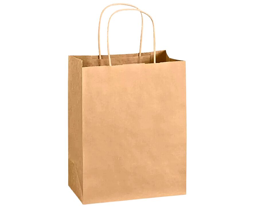 Brown paper bag with handles on a white background