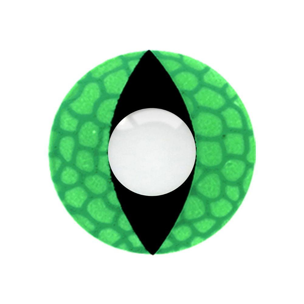 Loox Reptile Circular object with green textured border, black central shape, and white center on a white background