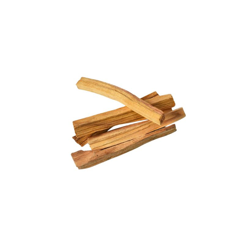 Palo santo holly wood sticks on a white background