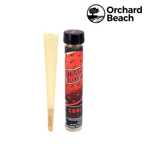 Raw Orchard Tree Strawberry Tree Cone - Shell Shock